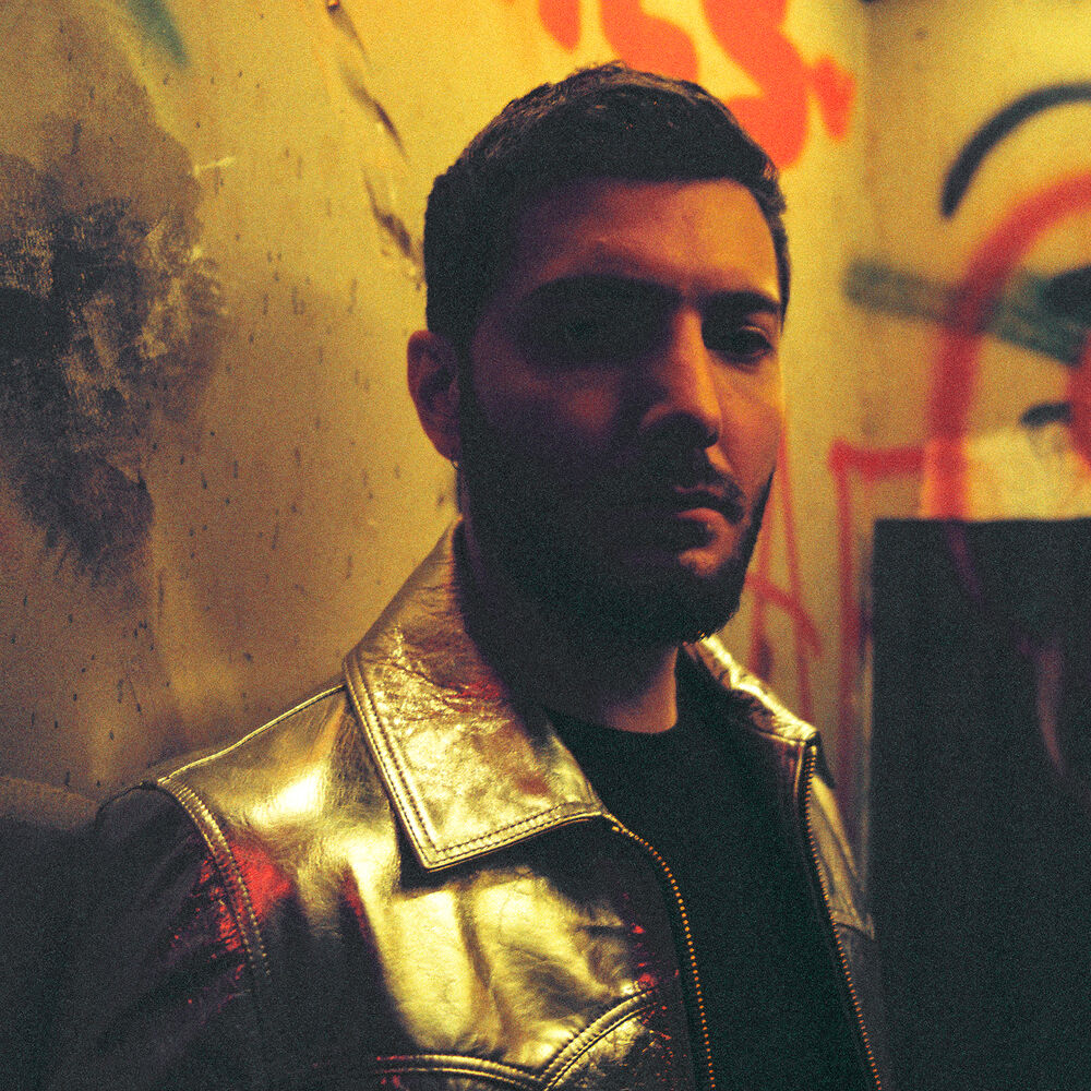 Picture of Alesso