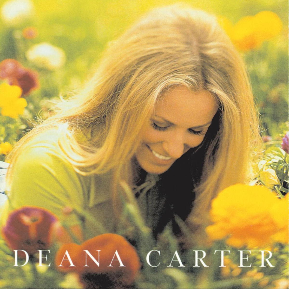 Artist picture of Deana Carter