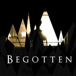 Picture of Begotten