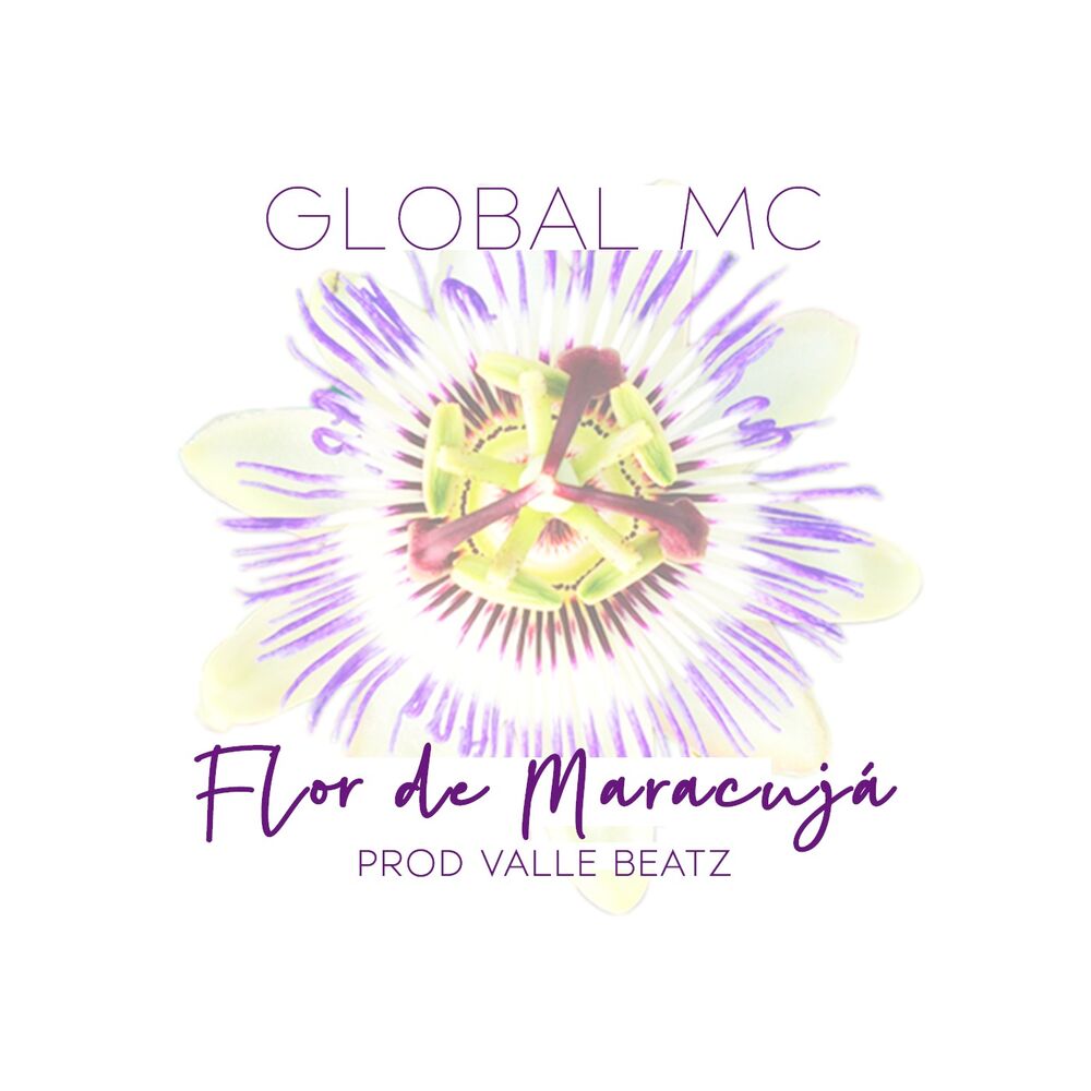 Picture of Global MC