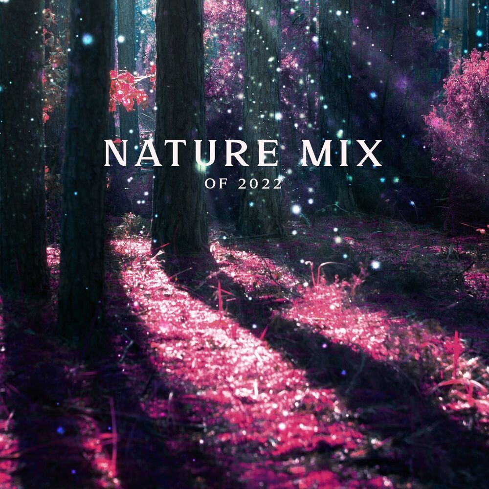Picture of Spa Music!