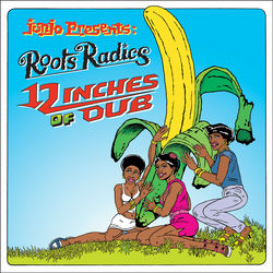 The Radio Relics