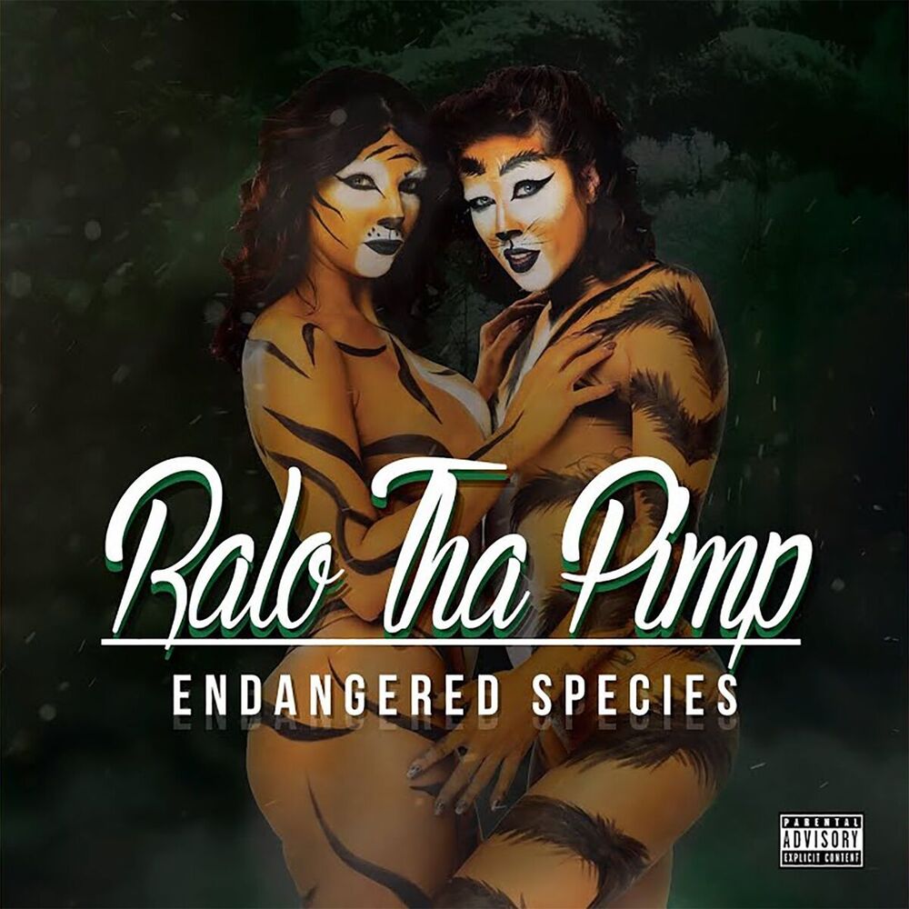 Picture of Ralo tha Pimp