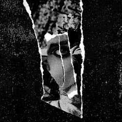 Picture of Forever Grey
