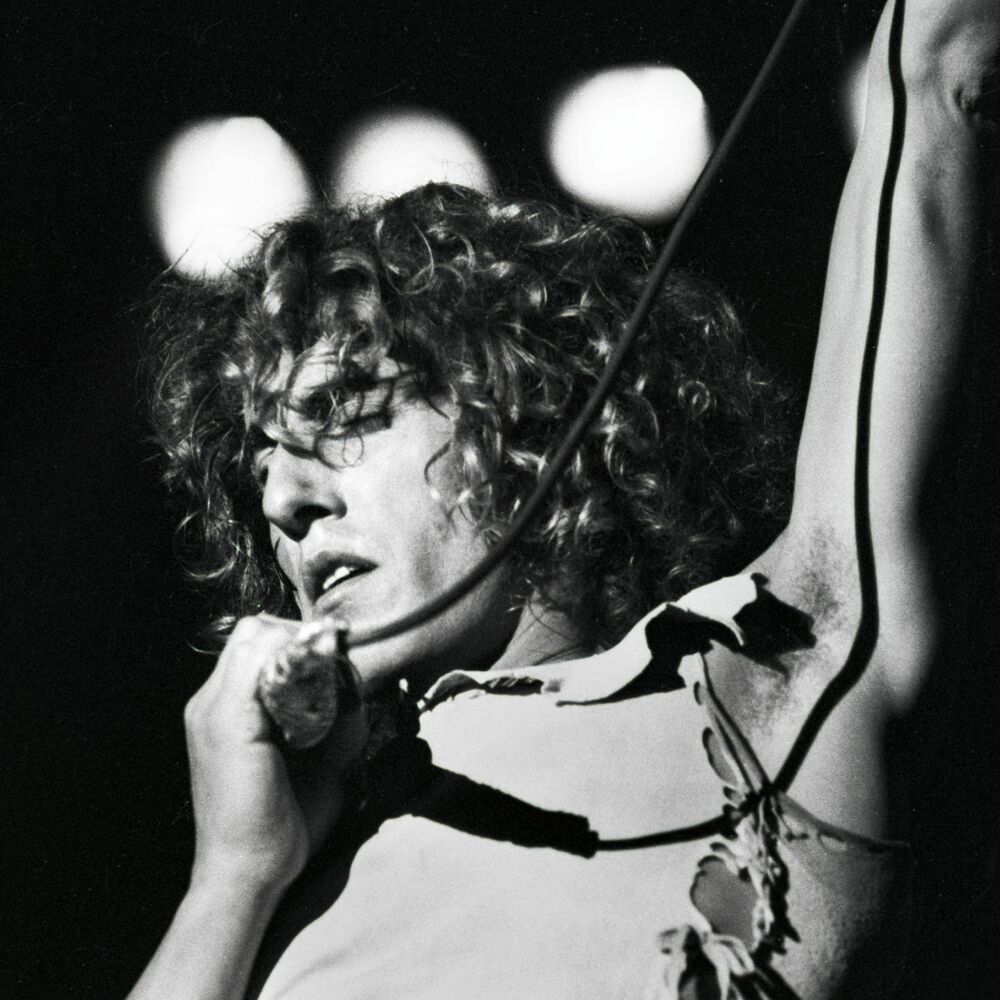 Picture of Roger Daltrey