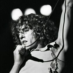 Picture of Roger Daltrey