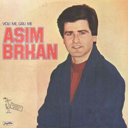 Picture of Asim Brkan
