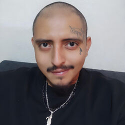 artist