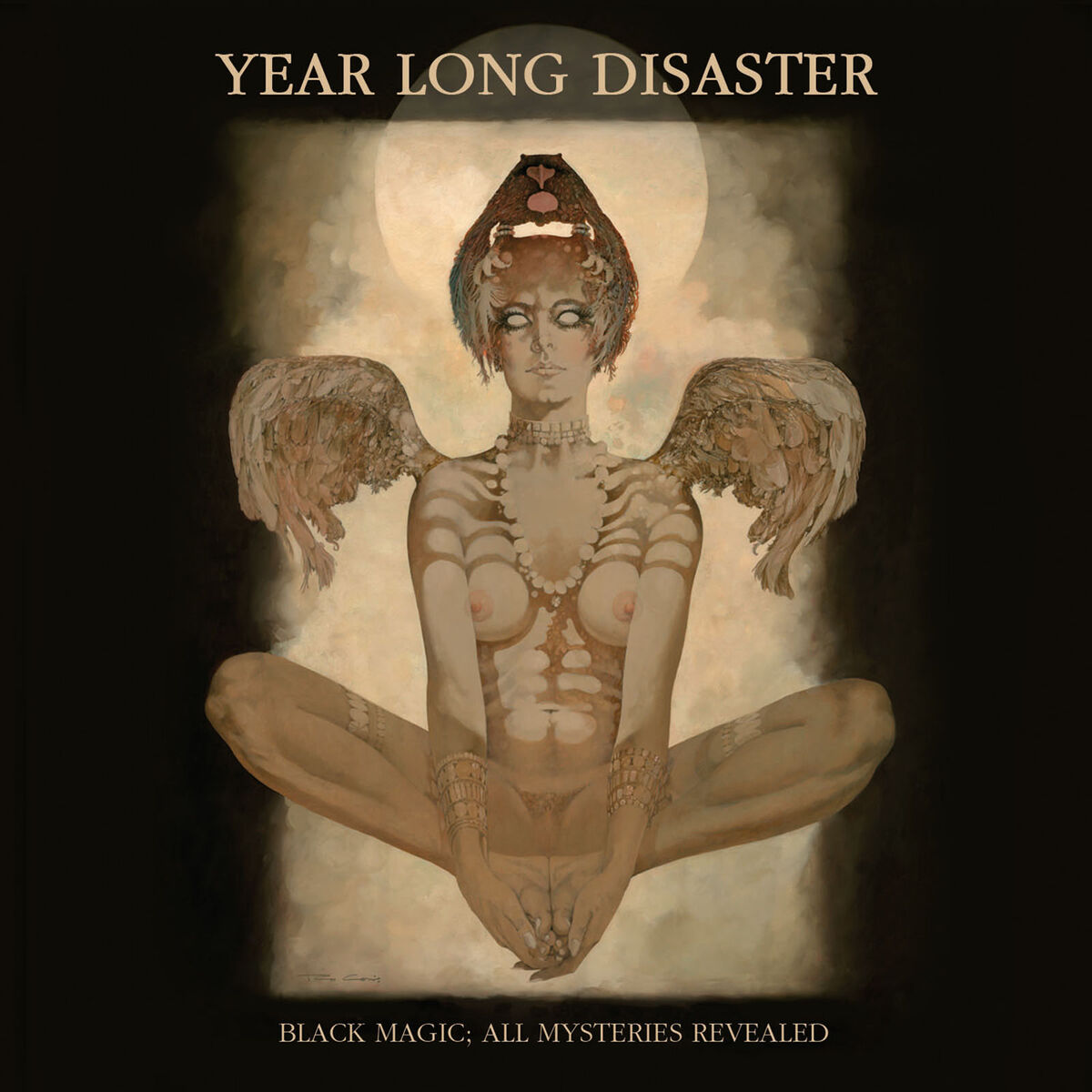 Year Long Disaster