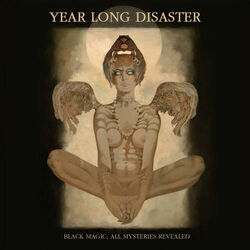 Picture of Year Long Disaster