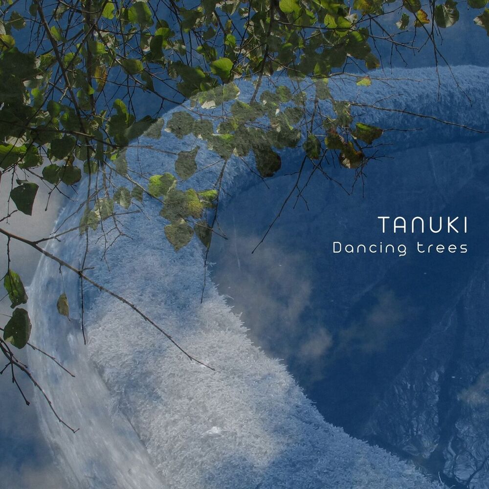 Picture of Tanuki
