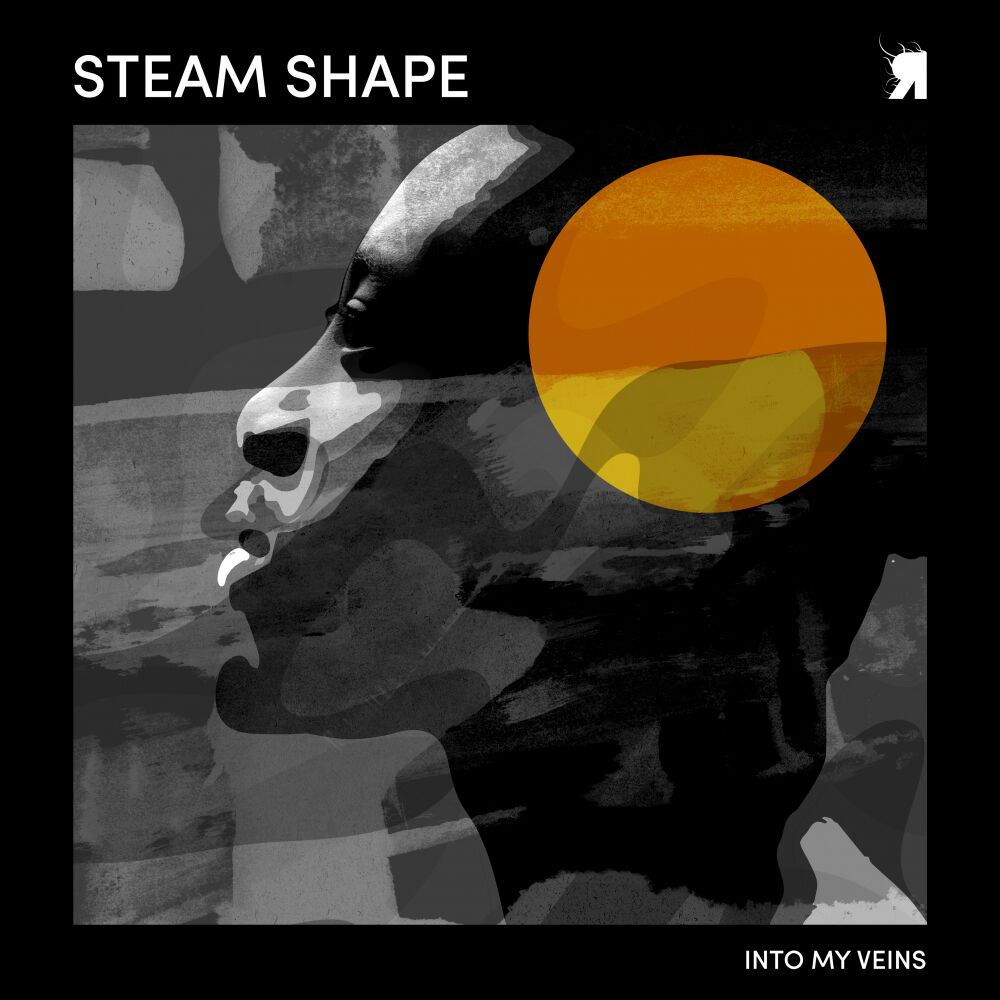 Picture of Steam Shape