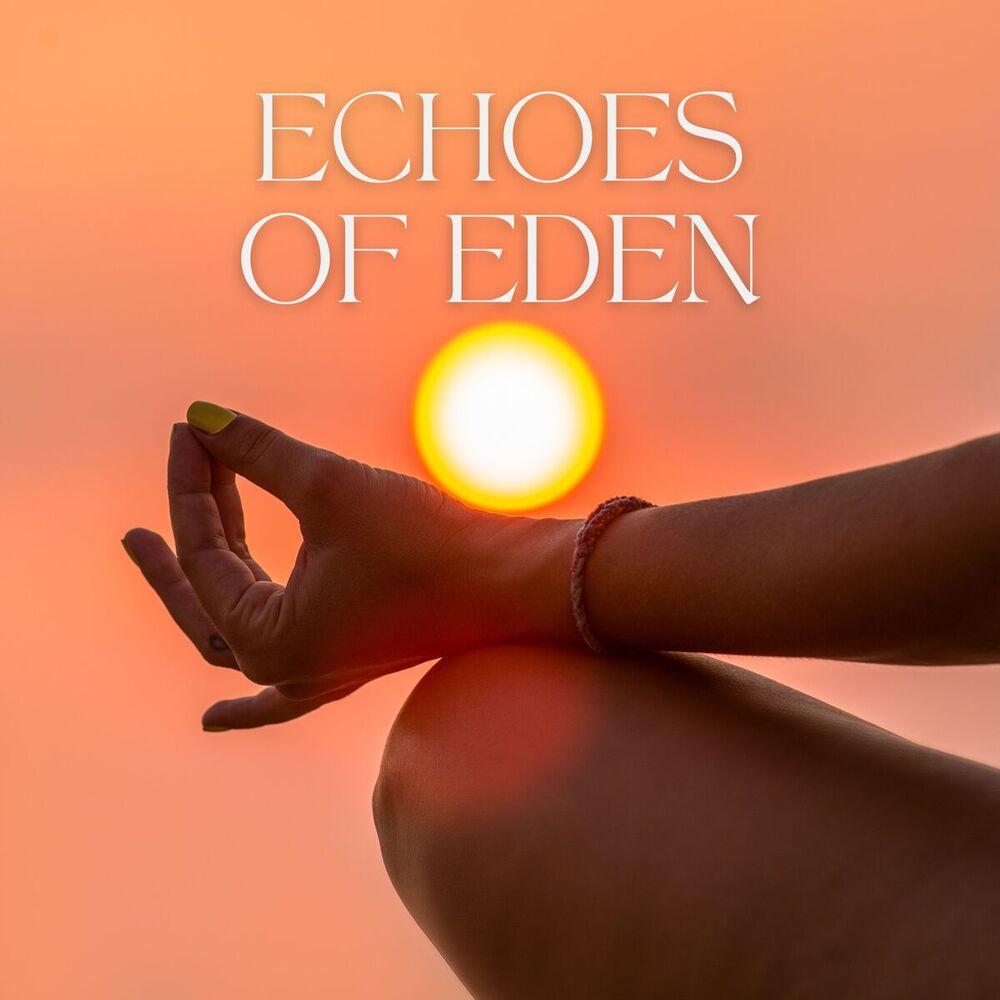 Picture of Meditation Hz