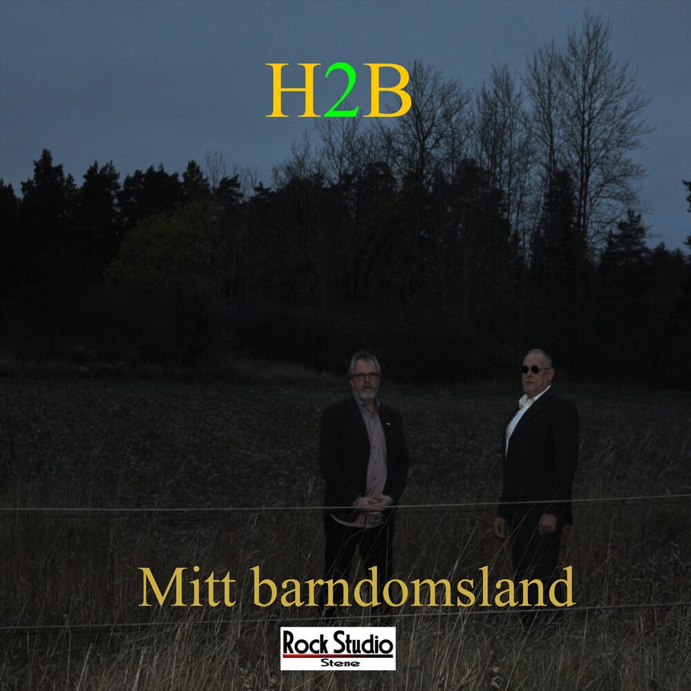 Picture of h2b