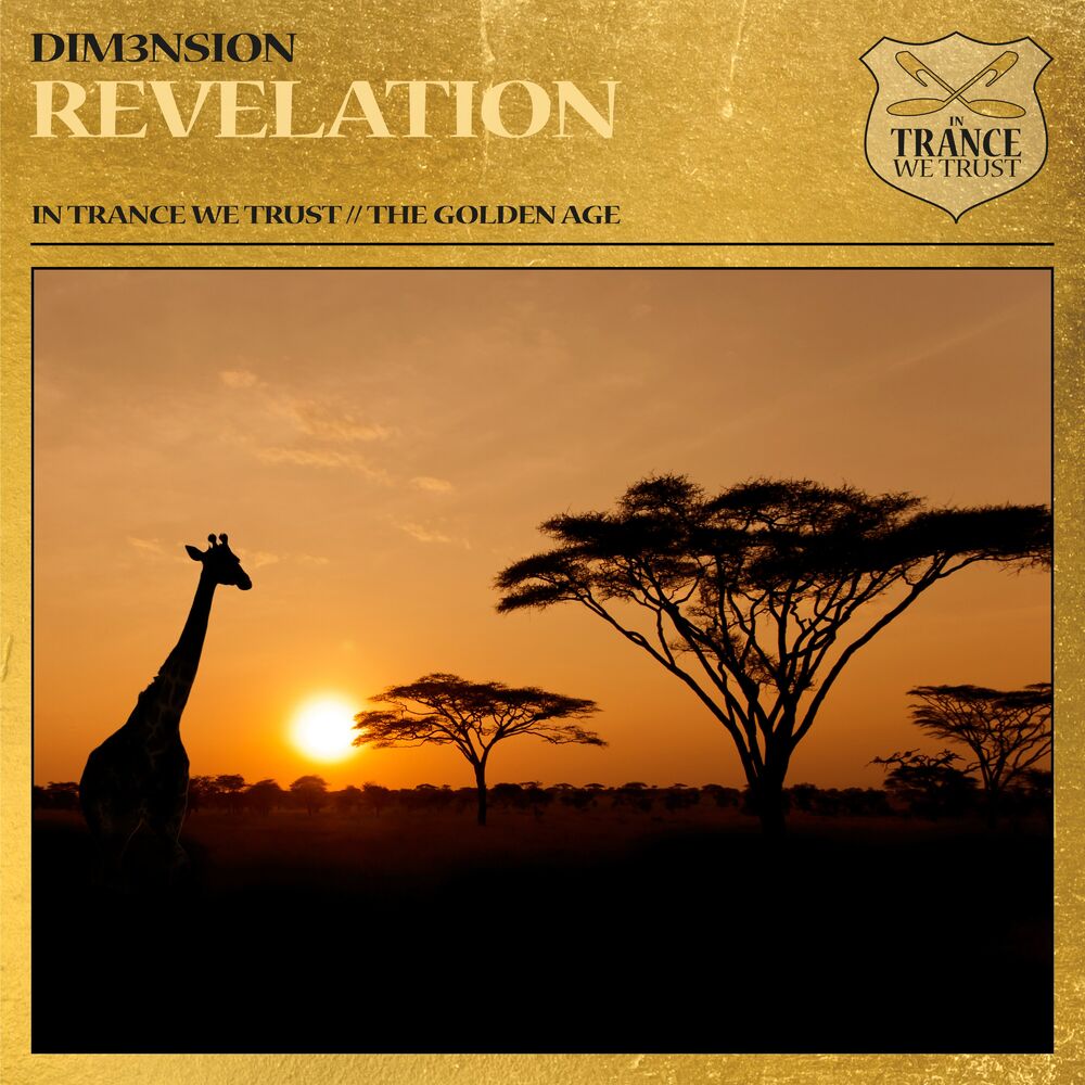 Picture of DIM3NSION