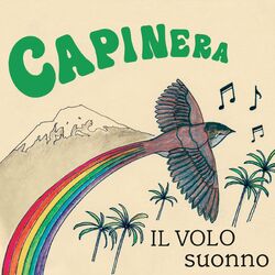 Picture of Capinera