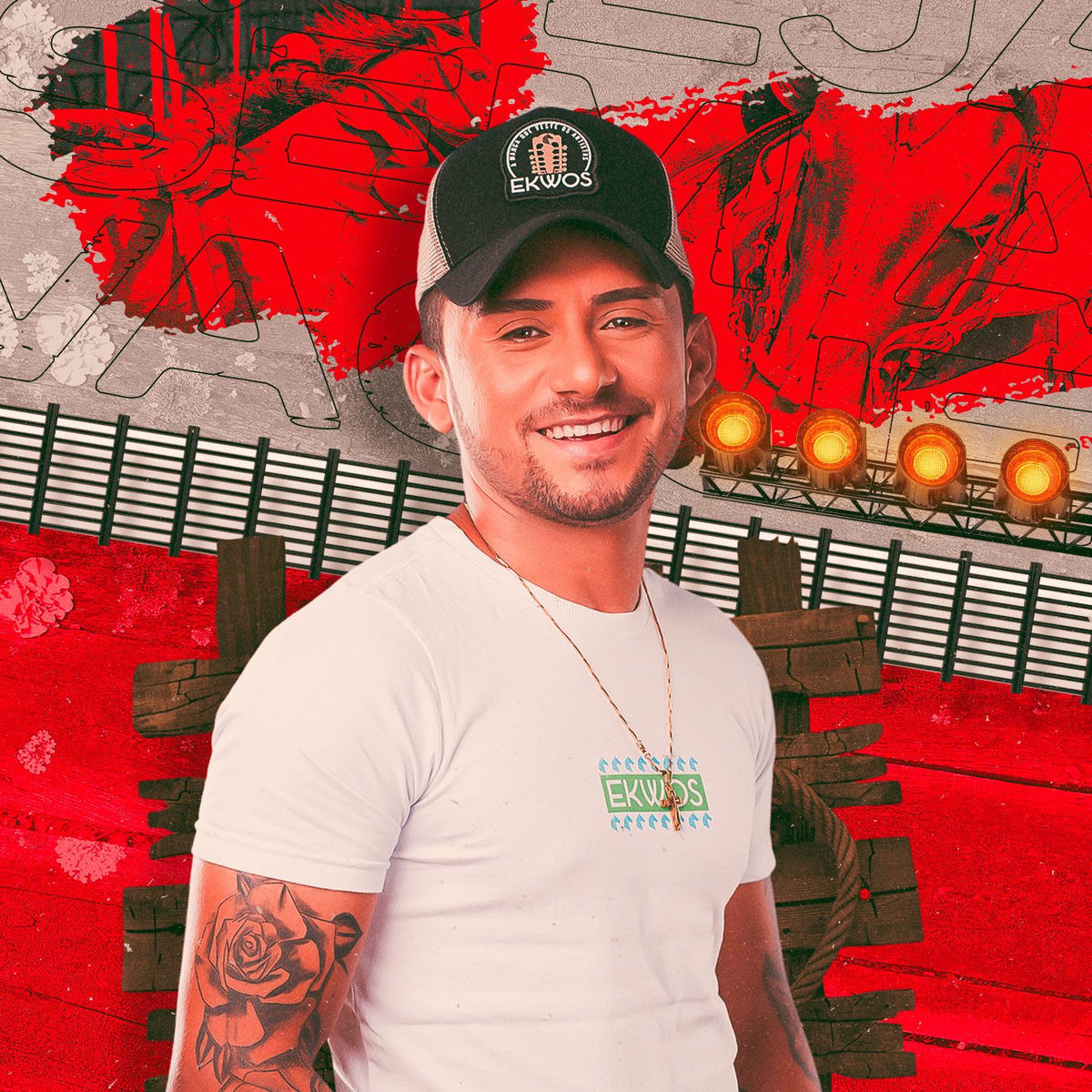Artist picture of Zé Cícero Forrózeiro