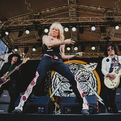 Picture of Hanoi Rocks