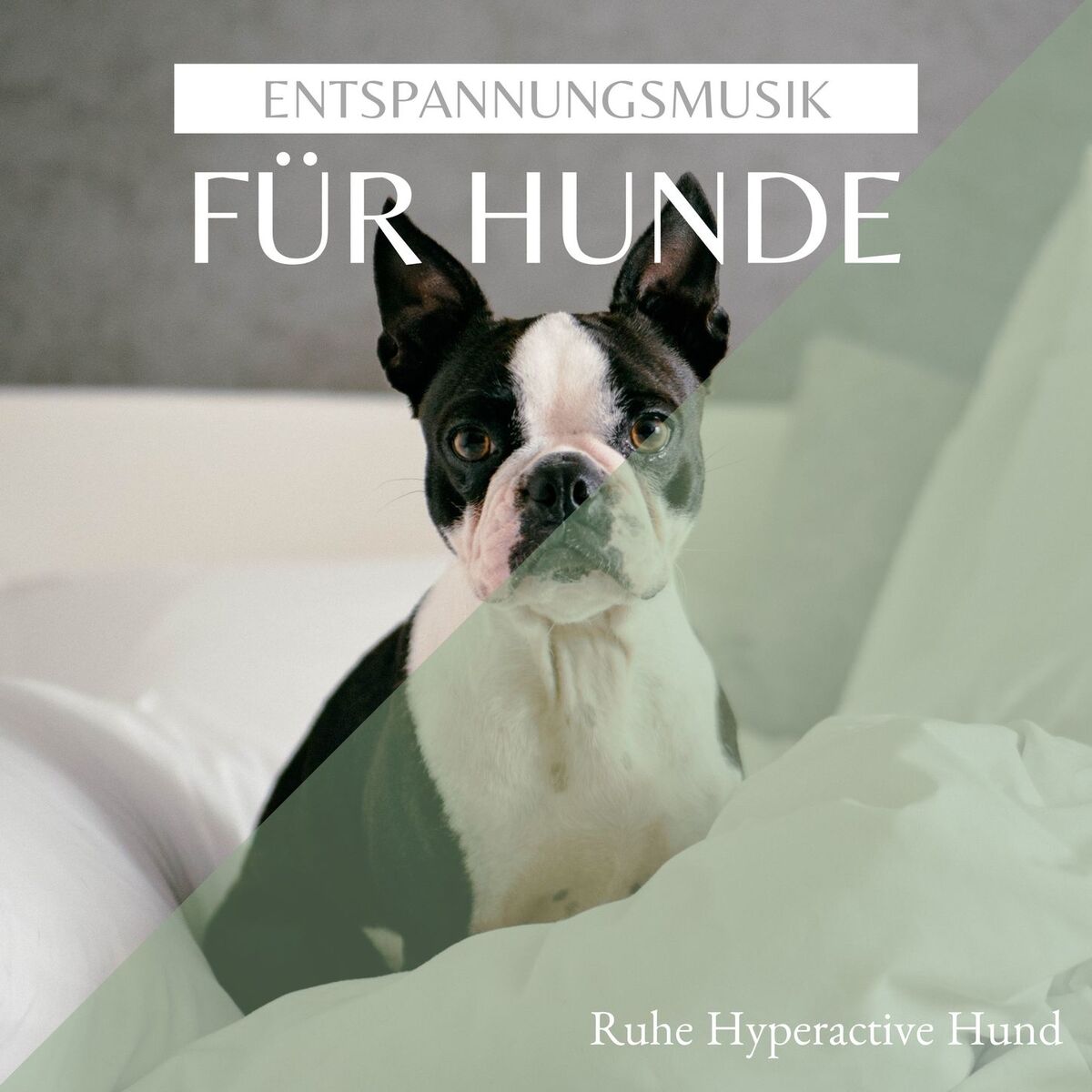 Entspannungsmusik Klavier Akademie