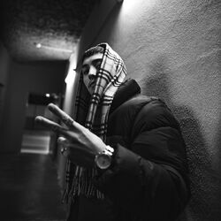 Picture of NEMES