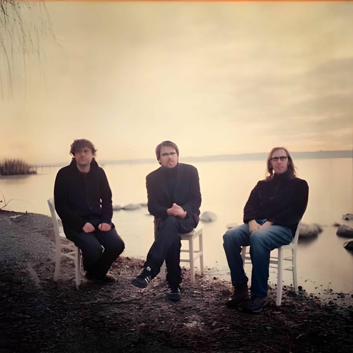 Artist picture of The Notwist