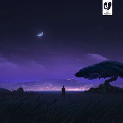 Picture of Nitewalk