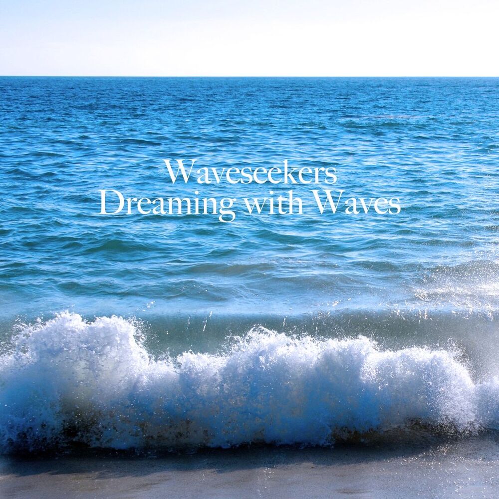 Picture of Waveseekers