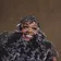 Jill Scott