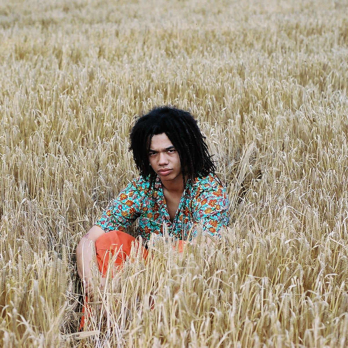 Artist picture of Cosmo Pyke