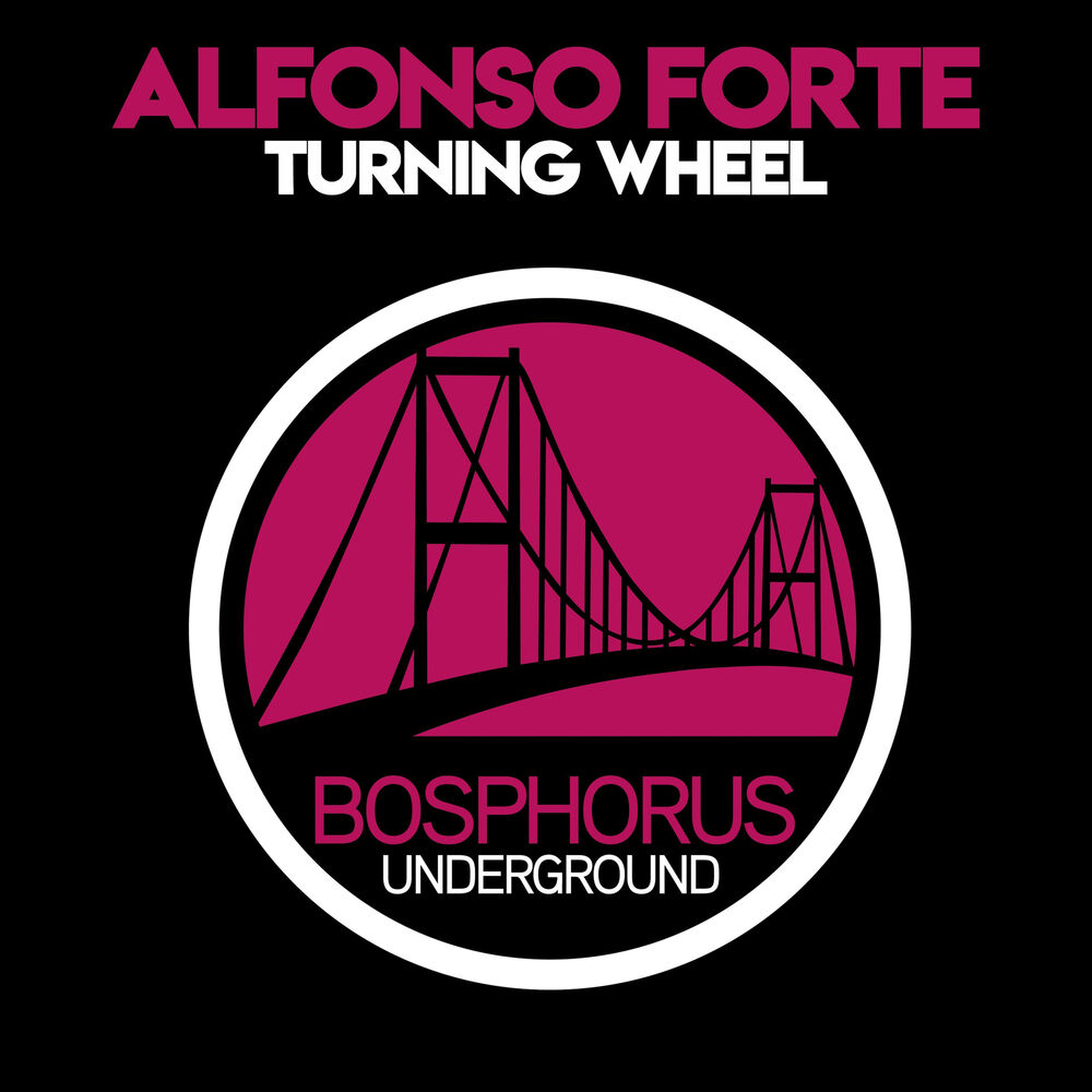 Picture of Alfonso Forte