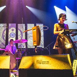 Picture of The Octopus Project