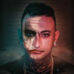 Picture of Mc Henri