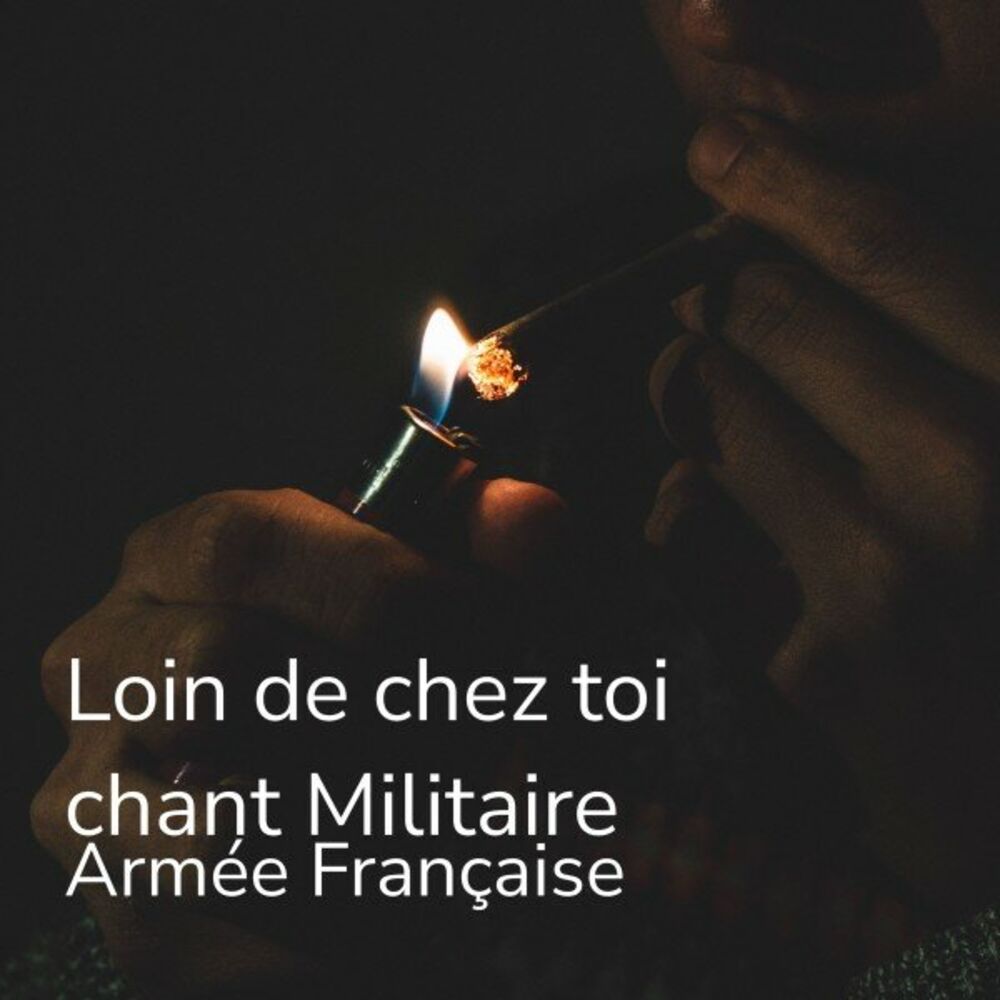 Picture of Armée française
