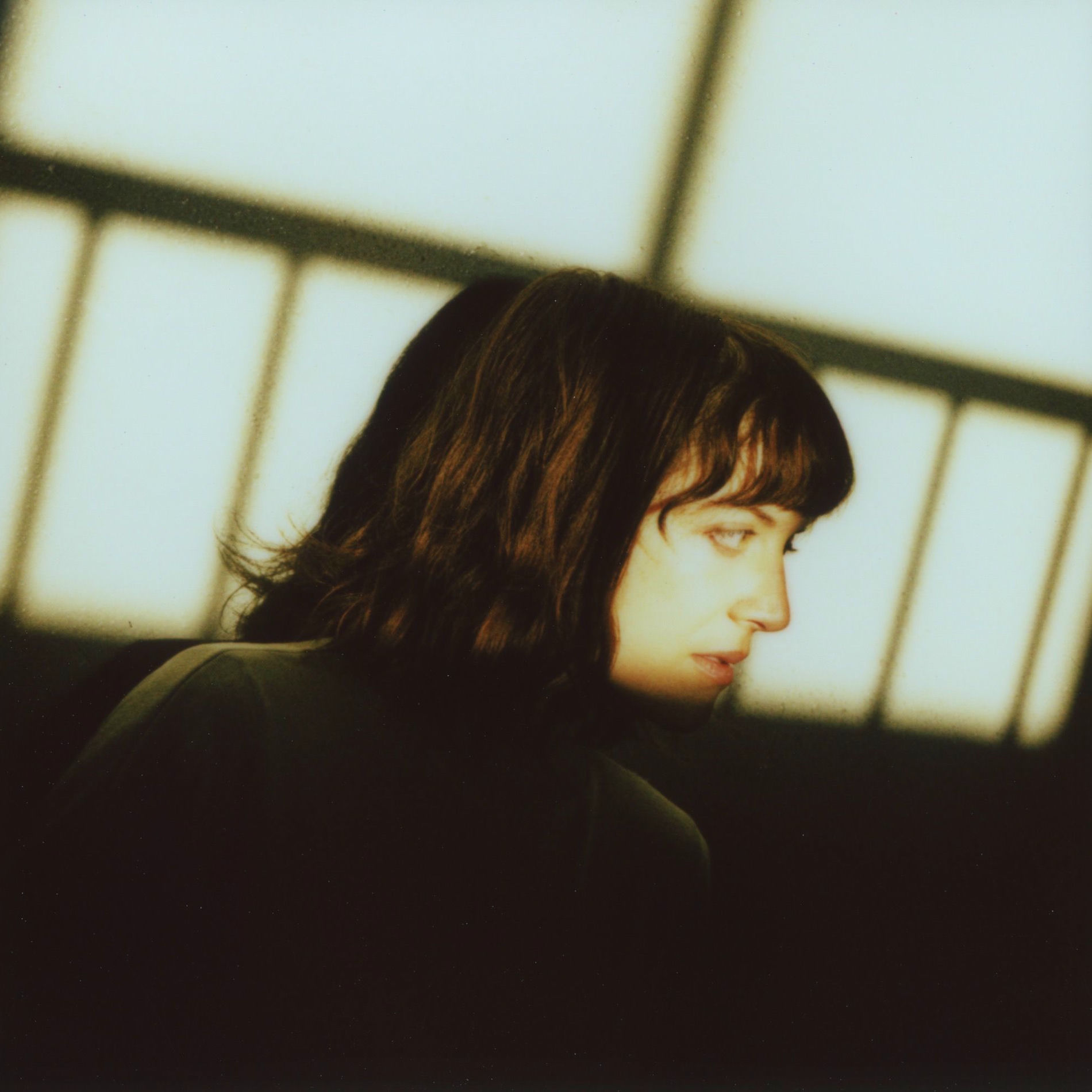 Artist picture of Salami Rose Joe Louis