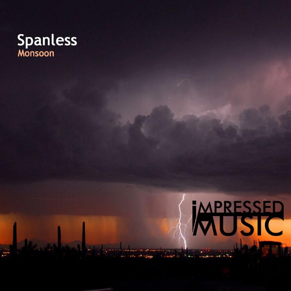 Picture of Spanless