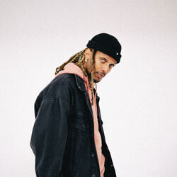 Picture of Lorenz