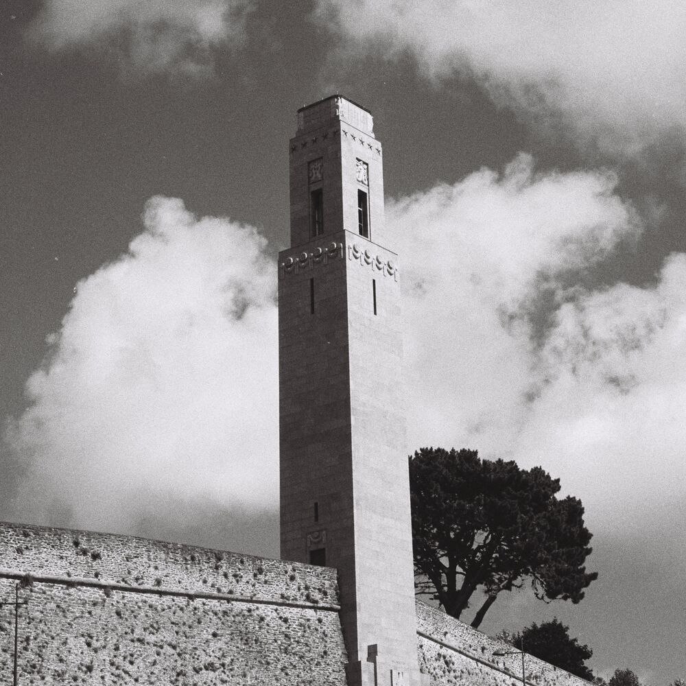 Picture of Bantam Lyons