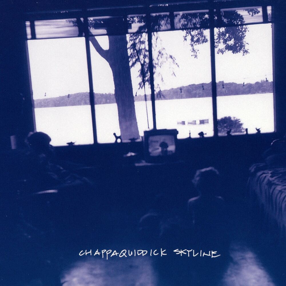 Picture of Chappaquiddick Skyline