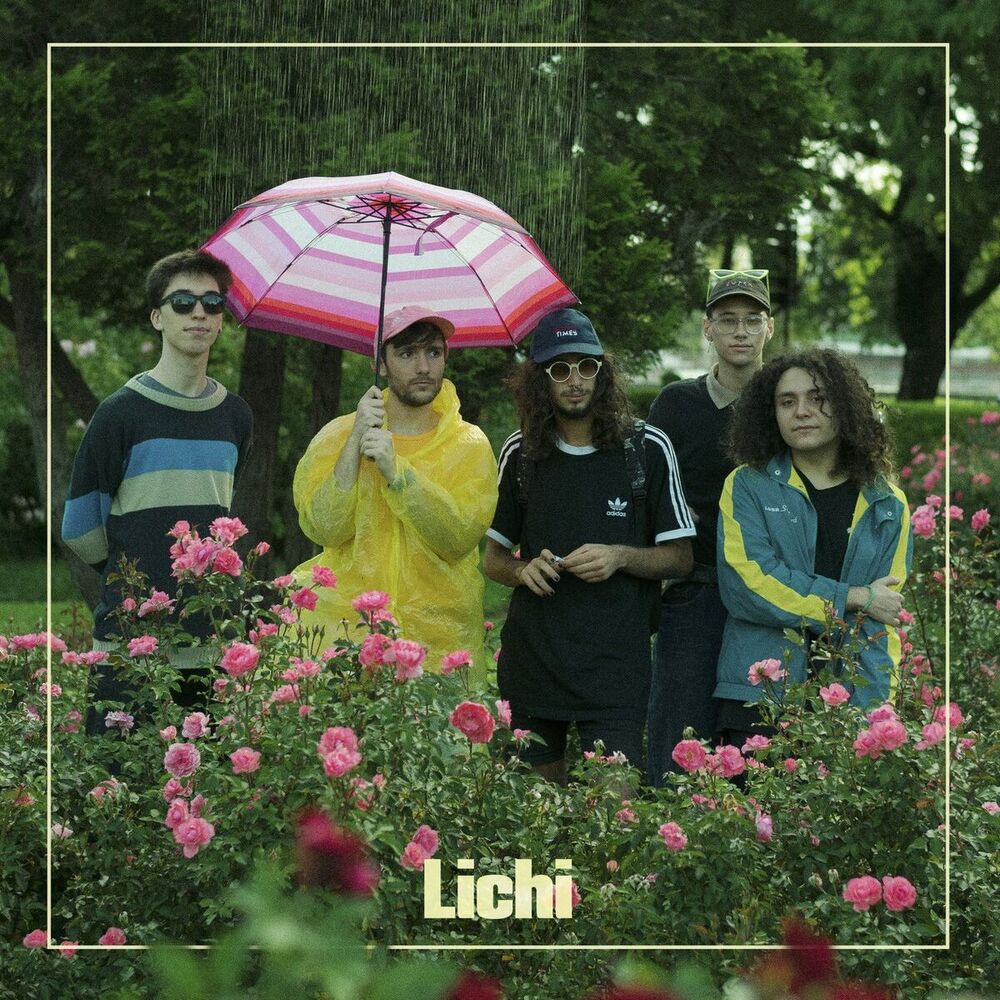 Picture of Lichi