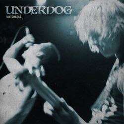 Picture of Underdog