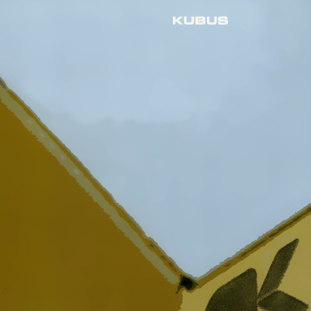 Artist picture of Kubus |__|/