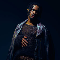 Picture of Will Be