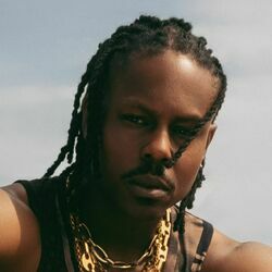 Picture of LADIPOE