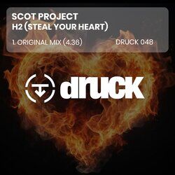 Picture of Scot Project
