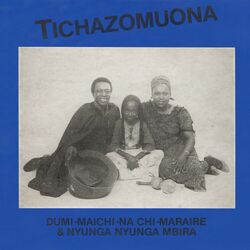 Picture of Dumisani Maraire