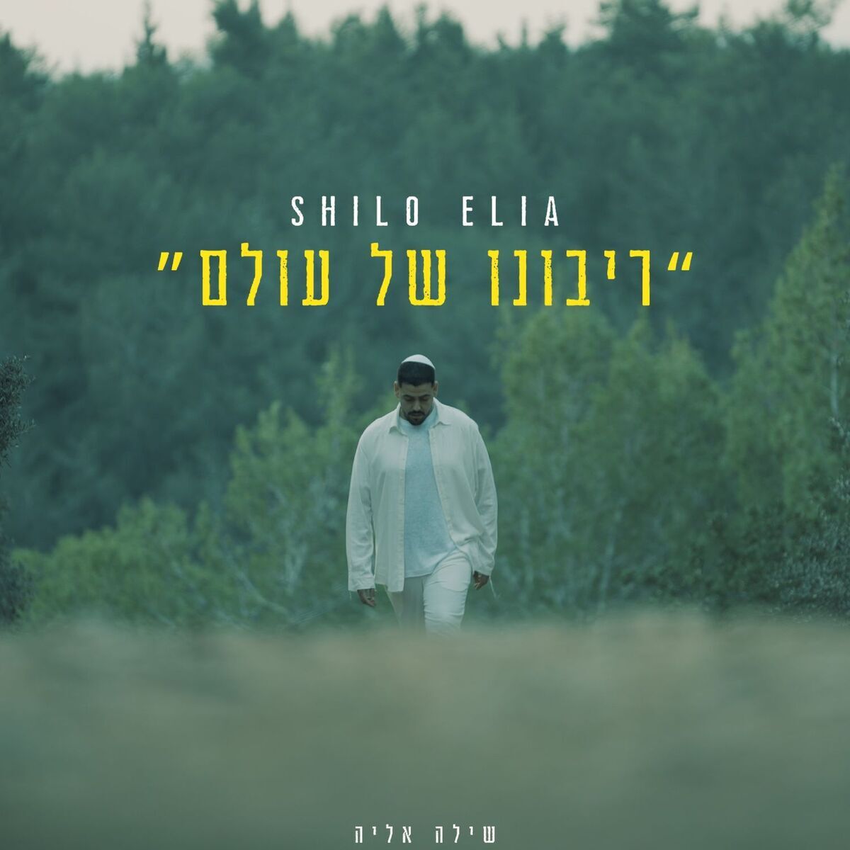 שילה אליה