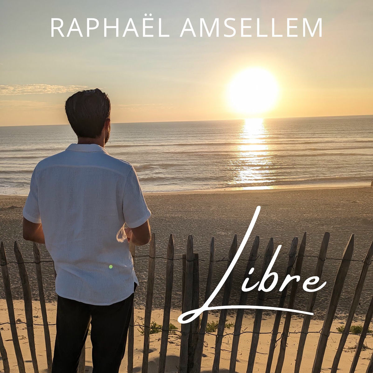 Raphaël Amsellem