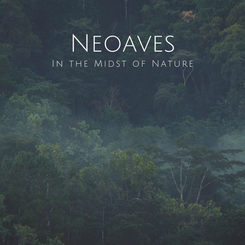 Picture of Neoaves