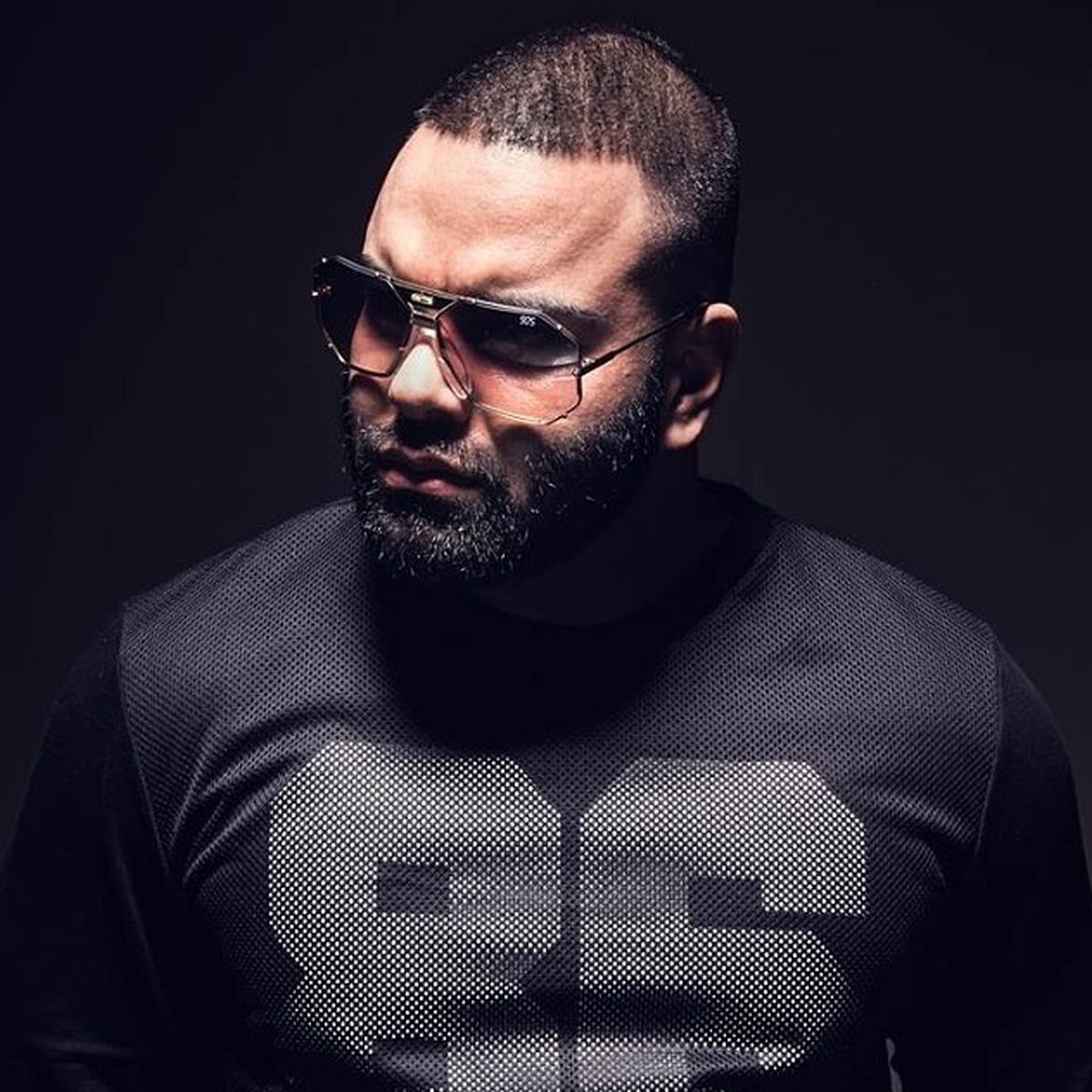 Artist picture of Animus