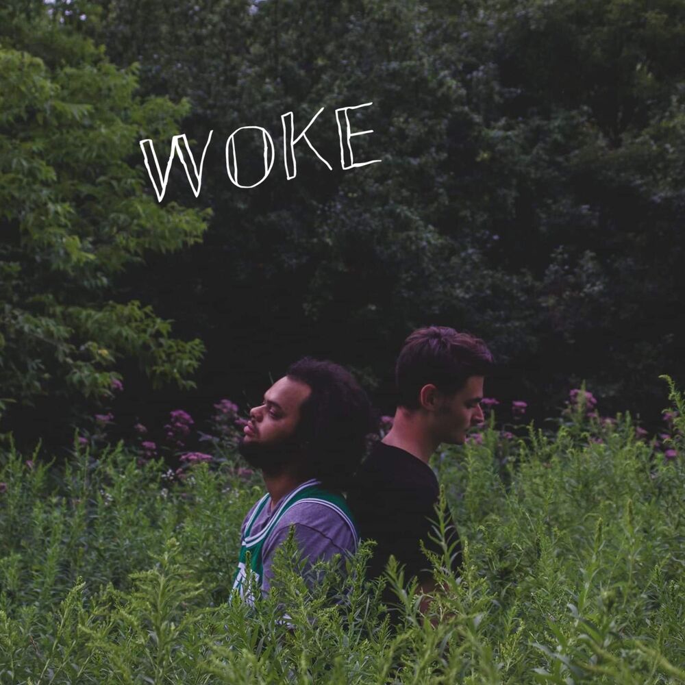 Photo de l'artiste woke